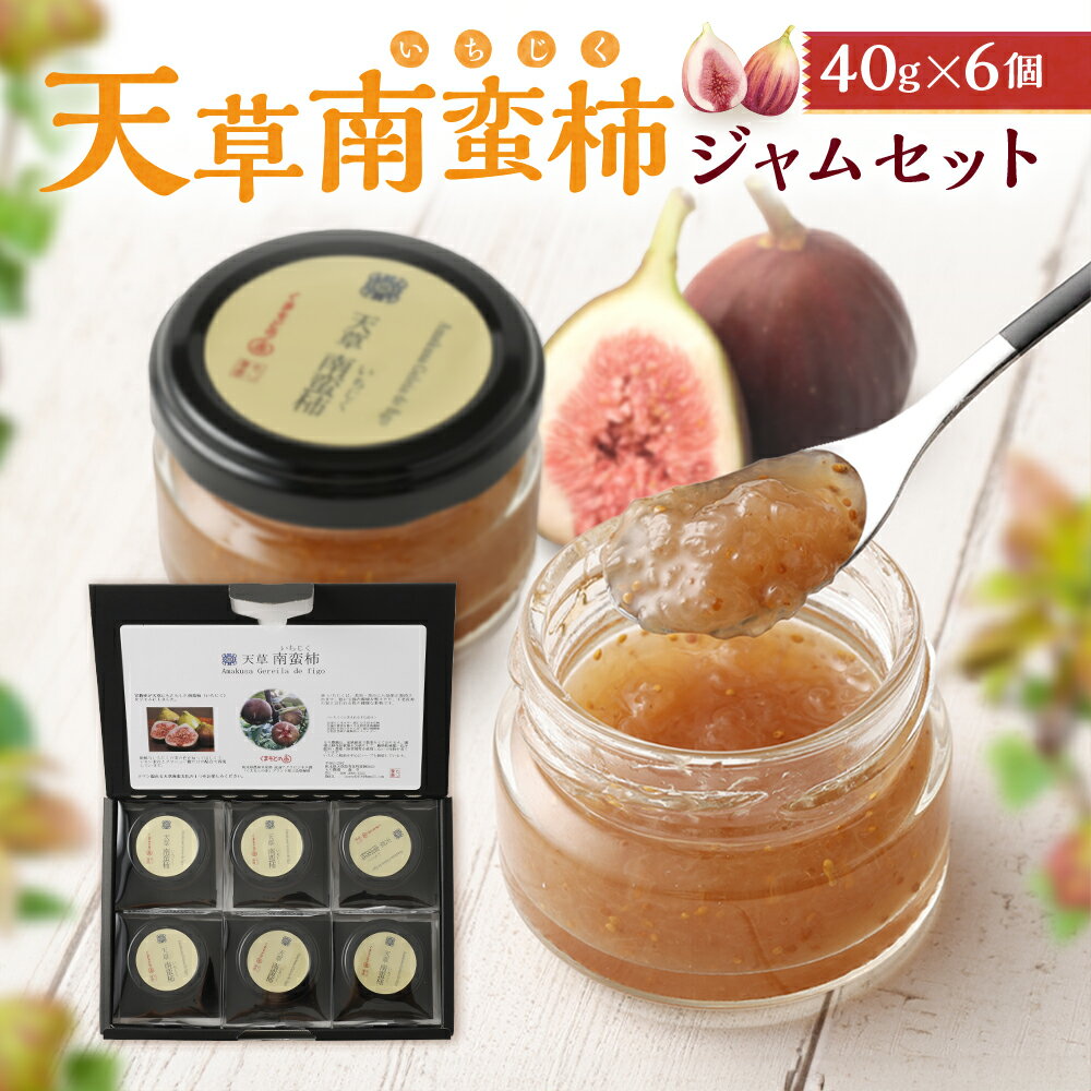 【ふるさと納税】天草南蛮柿ジャムセット 40g×6個 合計240g ジャム 無花果 いちじく イチジクジャム 無花果ジャム セット 九州 熊本県 送料無料