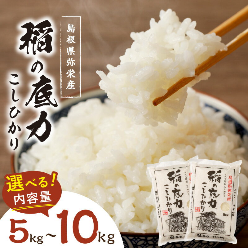 【ふるさと納税】【令和7年産】【新米先行予約】浜田産「稲の底力こしひかり」【5kg 10kg】 選べる お米 お取り寄せ 特産 精米 白米 ごはん ご飯 コメ 新生活 応援 準備 ふるさと納税 米