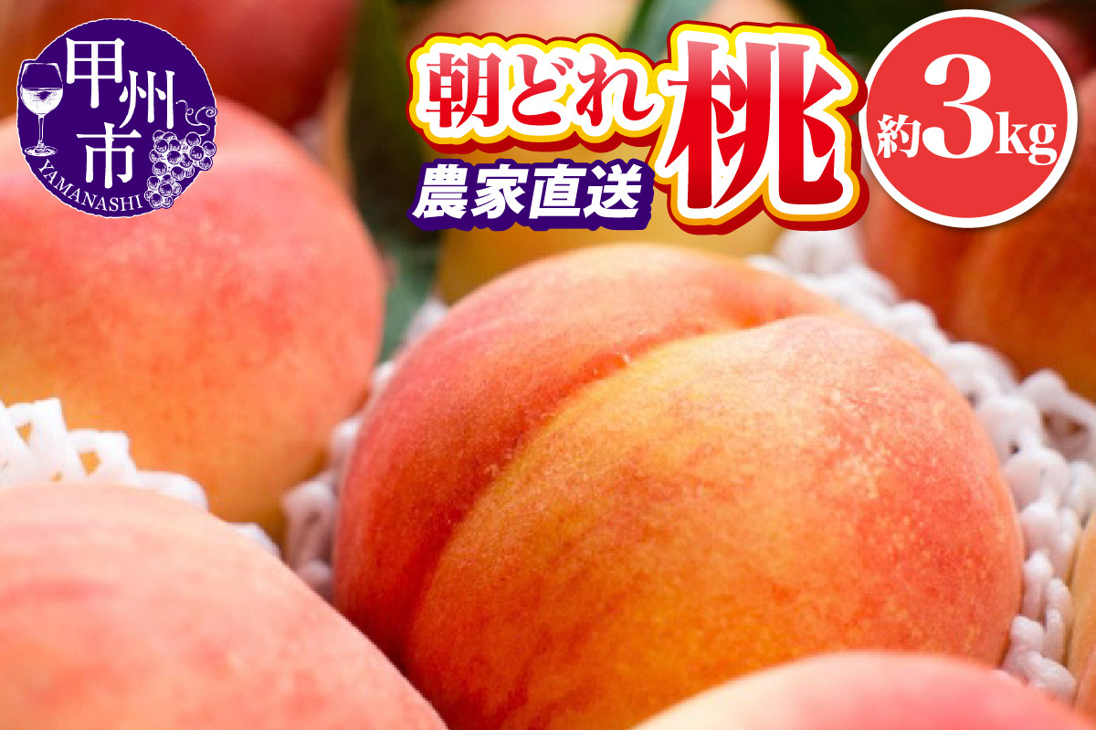 
            池田青果 朝どれ 大玉 桃 約3kg 7～11玉 農家直送【2025年発送】（IS）B15-456 【桃 もも モモ 令和7年発送 期間限定 山梨県産 甲州市 フルーツ 果物】
          