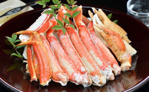香住産 釜茹で松葉がに 1匹（約600～700g）冷蔵【令和8年11月下旬以降発送予定】かに カニ 香美町 33-24