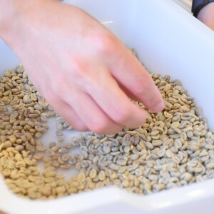 焙煎体験チケット＋焙煎豆300gプレゼント 【kt091-003】