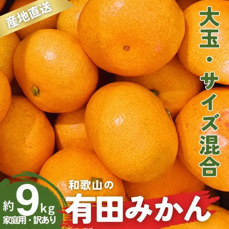 家庭用 有田みかん 和歌山 訳あり 大玉(2L,3Lサイズ混合) 9kg【11月上旬～1月下旬頃に順次発送】/ みかん フルーツ 果物 くだもの 有田みかん 蜜柑 柑橘【ktn012B】