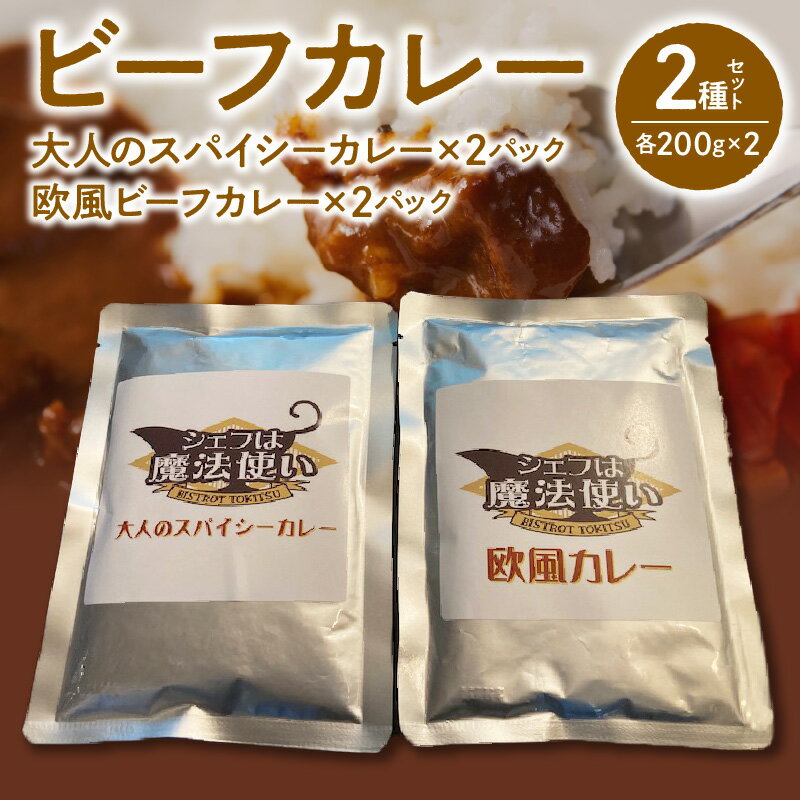 【ふるさと納税】ビーフカレー 2種 セット 大人のスパイシーカレー 欧風ビーフカレー 200g × 各 2パック 計 800g 2日間 じっくり 煮込んだ コク 欧風 スパイス 効いた 大人 カレー 食品 レトルト 温めるだけ 簡単調理 グルメ お取り寄せ 福岡県 久留米市 送料無料
