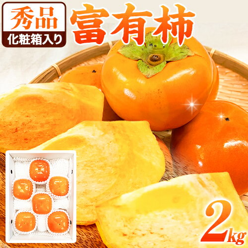 【ふるさと納税】＜先行予約＞秀品 和歌山 秋の味覚 富有柿 約2kg 化粧箱入 株式会社魚鶴《2026年11月中旬-12月上旬頃出荷》和歌山県 日高川町 柿 富有柿 フルーツ