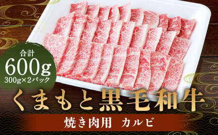 くまもと黒毛和牛 焼き肉用カルビ 600g （300g×2） 肉 お肉 牛肉 和牛 カルビ 焼肉 国産 熊本県 人吉市