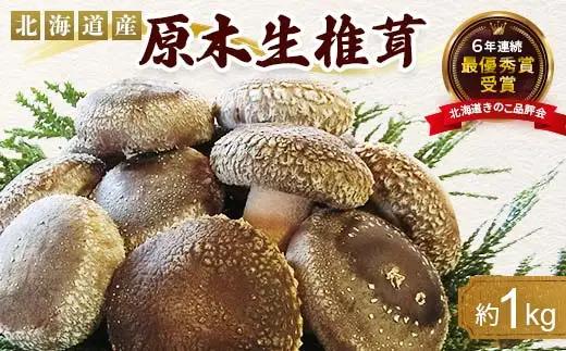 【先行予約】2026年8月以降順次発送 原木栽培 生椎茸 約1kg 里の恵 しいたけ シイタケ きのこ キノコ 椎茸 野菜  F21X-575