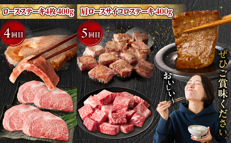 【5か月定期便】宮崎牛焼肉定期便 宮崎牛 牛肉 お肉 国産牛 ブランド牛 和牛 焼肉 スライス ステーキ サイコロステーキ ウデ焼肉 モモ焼肉 定期便 霜降り 贈答用 贈答 贈り物 プレゼント 記念日