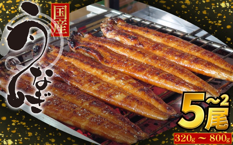 
                  うなぎ 鰻 ウナギ 国産 蒲焼き 2 ～ 5尾 特上 タレ付き かば焼 蒲焼 鰻蒲焼き 鰻蒲焼 養殖鰻 養殖うなぎ うな重 うな丼 ひつまぶし タレ セット 魚 魚介 惣菜 ギフト 贈り物 贈答 土用の丑 土用 丑の日 和食 日本料理 徳島県
                