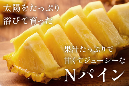 Nパイン2玉　自然の恵み詰まったパイナップル