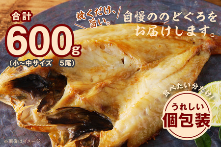  のどぐろ専門店シーライフ のどぐろ一夜干し5枚で計600g「お手ごろセット」 魚 干物 干もの 一夜干し 手頃 小分け 産地直送 のどぐろ 人気 贈り物 贈答 ギフト プレゼント 【1569】