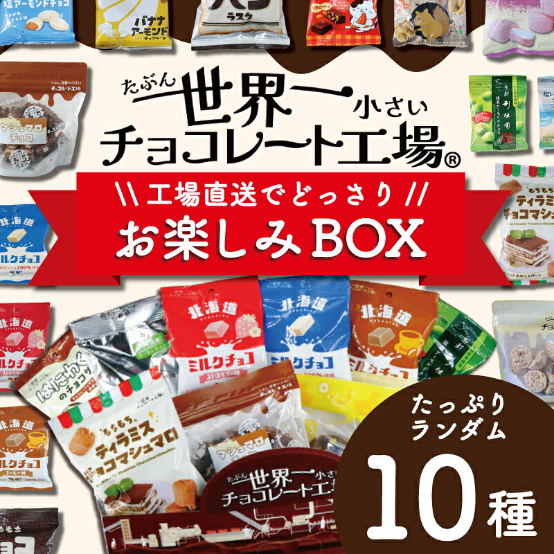 【ふるさと納税】 工場直送！ 人気チョコ菓子 セット ランダム10種 チョコレート ナッツ アーモンド 抹茶 いちご バナナ 北海道 ミルク お菓子 おやつ 詰合せ マシュマロ 柿の種 ちょこ おすすめ ギフト お楽しみ 贈答 たぶん 世界一小さいチョコレート工場 千葉 東金
