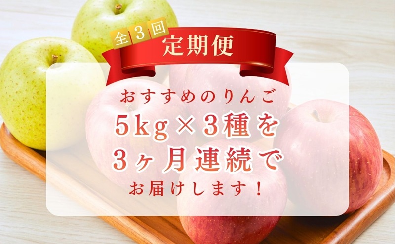 りんご5kg 3ヶ月定期便 スイート ゴールド サンふじ 贈答用 信州 フルーツ 果物 3回　シナノスイート シナノゴールド 林檎 リンゴ くだもの 旬の果物 旬のフルーツ 信州産 長野県産 長野 長野県 上田市