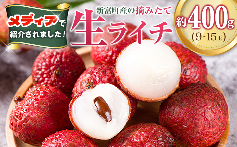 ＜数量限定＞新富町産 ライチ（約400g）国産 フルーツ 果物 贈答品【B704】