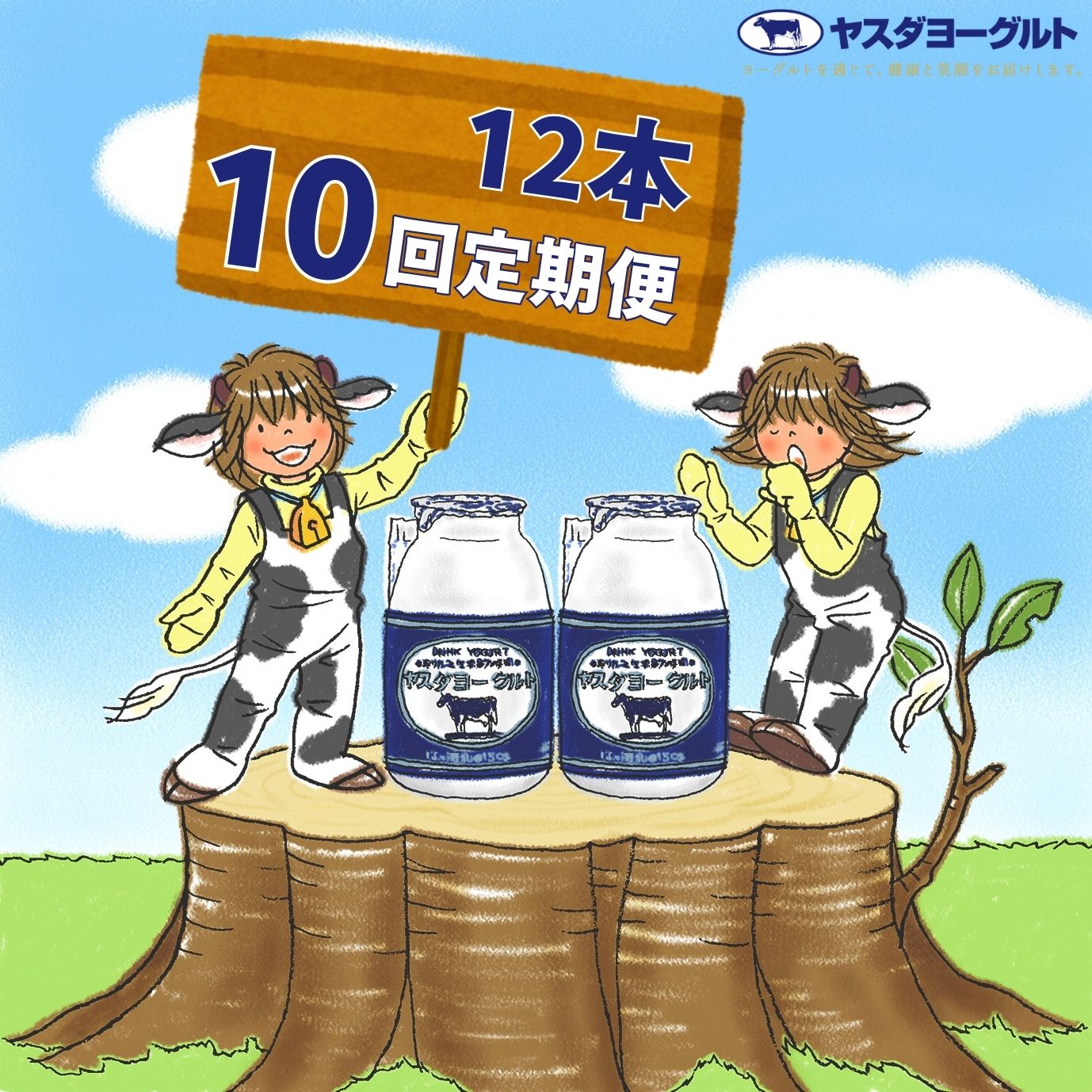 【ふるさと納税】≪10回定期便 ≫ ヤスダヨーグルト 150g×12本 飲むヨーグルト ヨーグルト こだわり生乳 濃厚