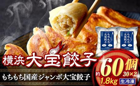 横浜大宝餃子 もちもち肉汁ジャンボ餃子 60個 冷凍餃子 AKN0001
