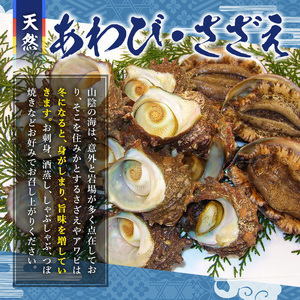 ＜土日祝着＞＜先行予約受付中！1月中旬～2月下旬頃順次配送＞あわび・さざえ詰合せ(2種)国産 鳥取県 境港市 海鮮 新鮮 生食 冷蔵 活魚介 魚貝類 アワビ 鮑 サザエ 栄螺 食べ比べ【sm-AA00