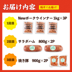 ＜定期便・計3回(隔月)＞ナンチク 加工品 セット ( Newポークウインナー / 焼き豚 / サラダハム ) 【ナンチク】i1205-B