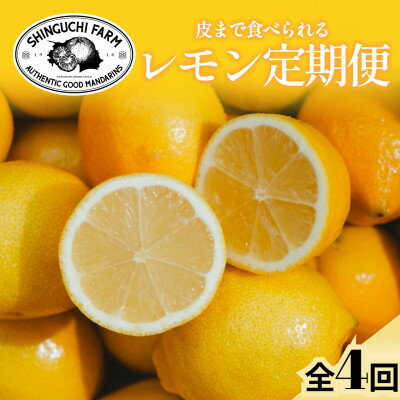 【ふるさと納税】【発送月固定定期便】皮ごと食べられる【愛媛レモン】防腐剤・ワックス不使用【G70-173】全4回【4083081】