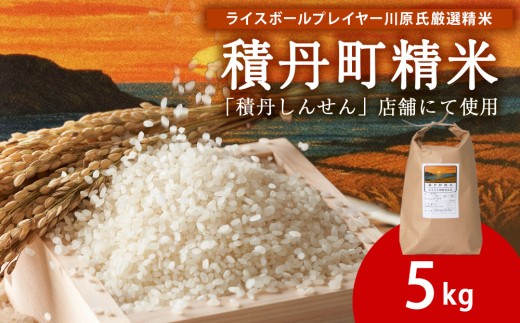 【6月発送】積丹精米のお米（5kg）ななつぼし　新米