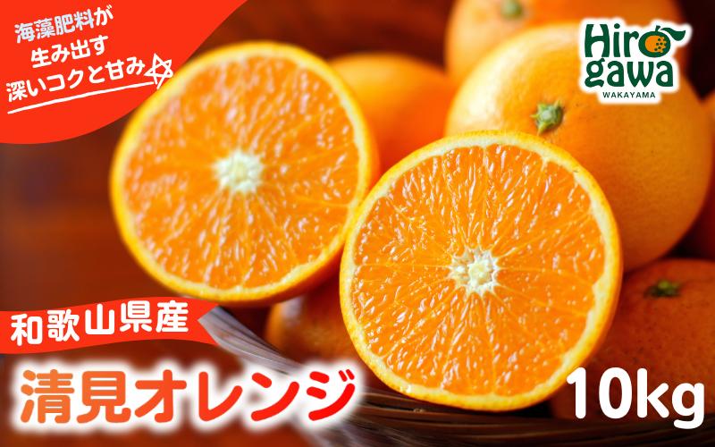 
                  和歌山県の清見オレンジ 10kg / 清見オレンジ 清見タンゴール きよみ 清美 甘い 完熟 和歌山 柑橘 ※3月中旬～4月中旬頃に順次発送予定 【aii009-r-10】
                