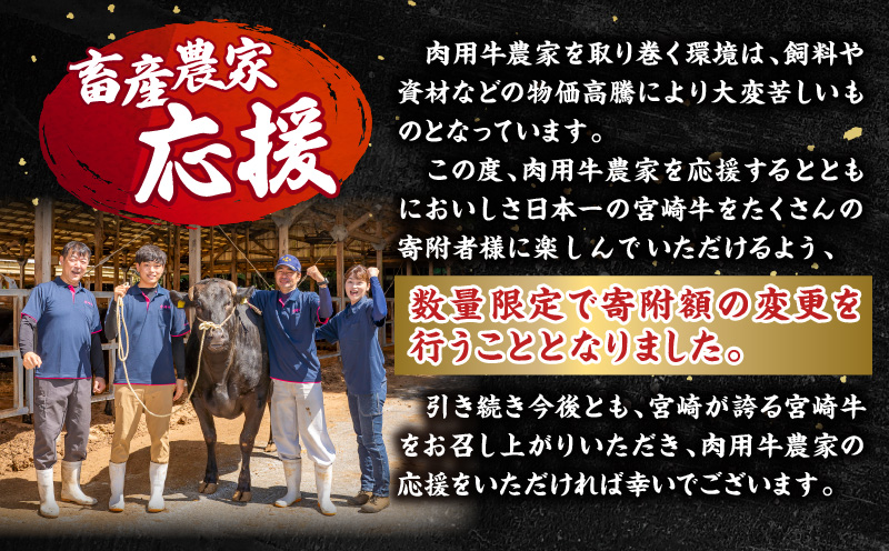 畜産農家応援！宮崎牛 焼肉3種セット(肩ロースorロース・ウデ・モモ 各300g)|牛肉 肉 お肉 牛 肉 精肉 焼肉用 焼肉 BBQ セット 詰め合わせ 食べ比べ 部位比べ 小分け パック 冷凍 贈