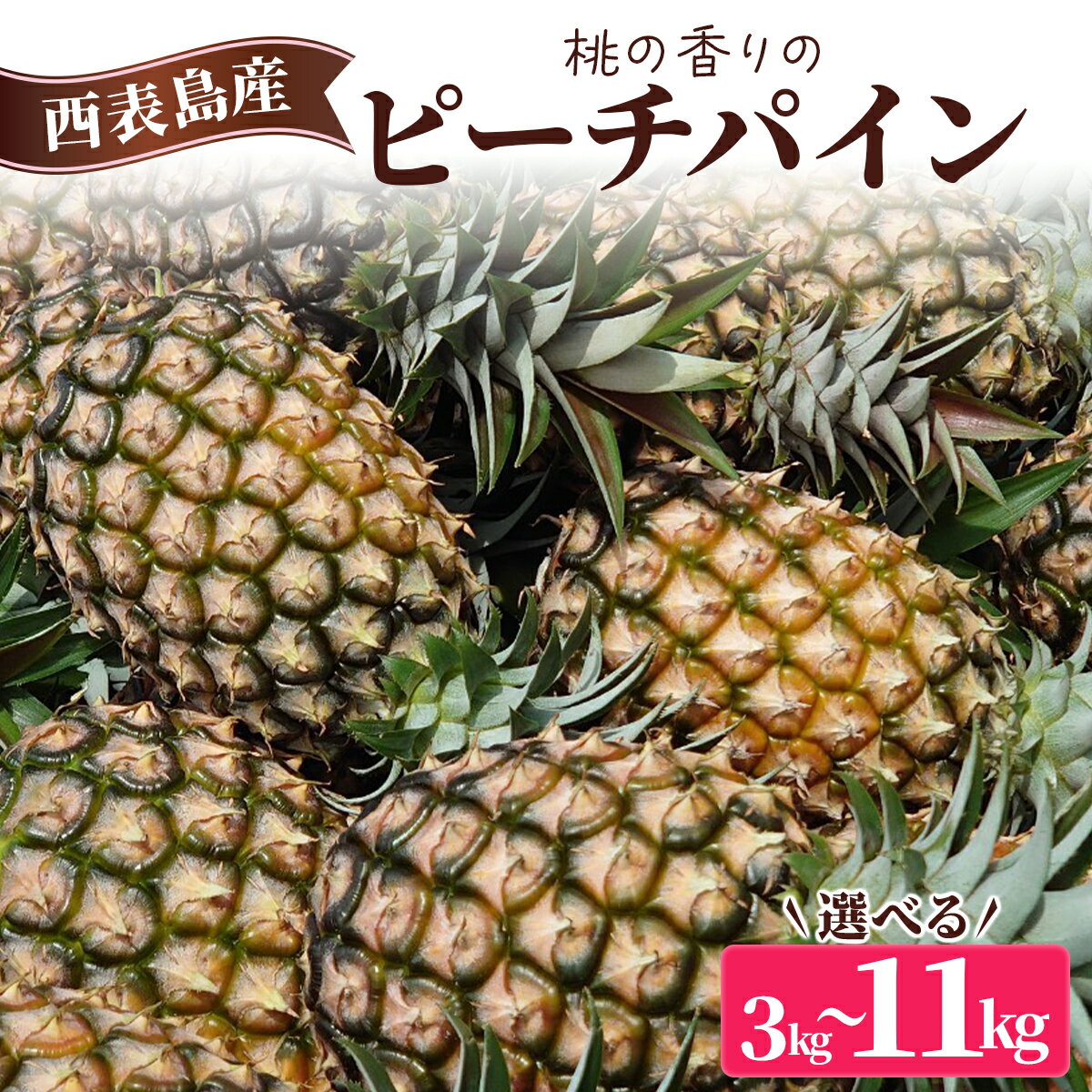 【ふるさと納税】【内容量が選べる】2026年 先行予約 ピーチパイン 約3〜11kg 3～18玉 桃の香り ますみ農園 パイン 果物 フルーツ パイン【果物詰合せ・フルーツ・ピーチパイン】　お届け：2026年5月下旬～7月中旬