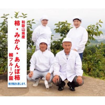 ふるさと納税 橋本市 柳フルーツ園の干し柿セット 約7kg |  | 03