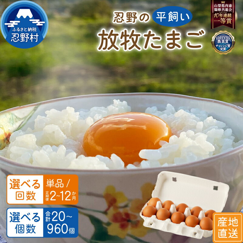 【ふるさと納税】 たまご 卵 平飼い 放牧 30～150個 単品 定期便 人気 アニマルウェルフェア認証 一等賞 受賞 濃厚 新鮮 安心 安全 コク こだわり卵 TKG 朝食 夕食 夜食 卵かけごはん 産地直送 忍野村 山梨県産 送料無料※沖縄県、離島不可