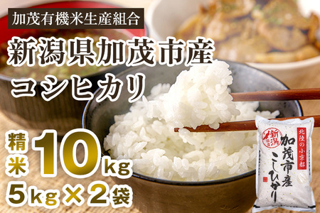 【令和6年産新米先行予約】新潟県加茂市産コシヒカリ 精米10kg（5kg×2）白米 加茂有機米生産組合 新潟県産コシヒカリ 米 お米