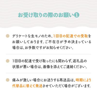 ふるさと納税 大石田町 【先行予約】 ぶどう シャインマスカット 秀品 600g×2房 令和8年産 2026年産 |  | 02