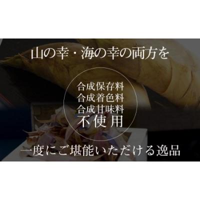 ふるさと納税 延岡市 節だし筍(たけのこ)100g×10袋　計1kg |  | 01