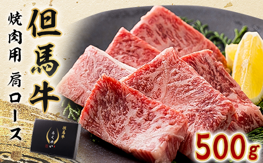 但馬牛焼肉セット 500g【配送不可地域：離島】
