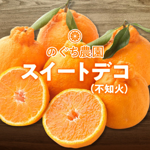 134-4　のぐち農園　スイートデコ（不知火）　8玉～12玉　２月より発送_V34-0004