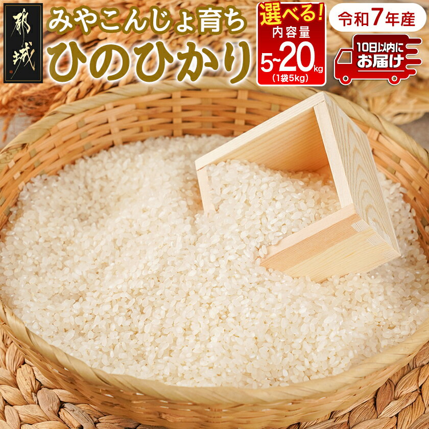 【ふるさと納税】【内容量が選べる！】みやこんじょ育ち都城産ひのひかり≪みやこんじょ特急便≫ - ヒノヒカリ 内容量が選べる 5kg/10kg/20kg 米 旨味 粘り 白米 ごはん 単一原料米 送料無料 SKU-K701【宮崎県都城市は2年連続ふるさと納税日本一！】