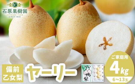 【先行予約】梨 なし ナシ ヤーリー 鴨梨 備前乙女梨 4kg 6～13玉《11月中旬-12月下旬頃より発送予定》石原果樹園 岡山県 浅口市 果物 フルーツ 新鮮｜なし