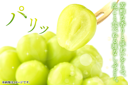 D-524 【先行予約】甘くて美味しい シャインマスカット 5kg（6～12房）【ぶどう 先行予約 ぶどうシャインマスカット シャインマスカット しゃいんますかっと 葡萄 ブドウ マスカット 5.0k