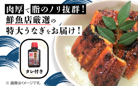 110-01 「特大」鹿児島県産うなぎ蒲焼き250g（タレ付き）
