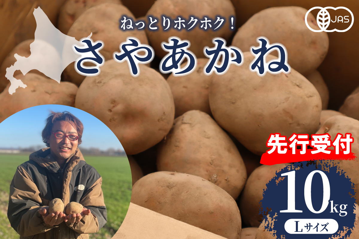 【先行予約】【2025年12月より配送】北海道十勝芽室町 さやあかね  Lサイズ 10kg me049-004c-25