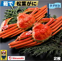 【ふるさと納税】先行予約 鳥取県産 タグ付 茹で松葉がに 大2枚 計約1.6kg ボイル済 冷蔵【23-160-002】【11月8日～2月末発送】中村商店 松葉ガニ 松葉かに かに カニ 蟹 鳥取 カニ身 かにミソ お取り寄せ グルメ 鳥取県 米子市 送料無料