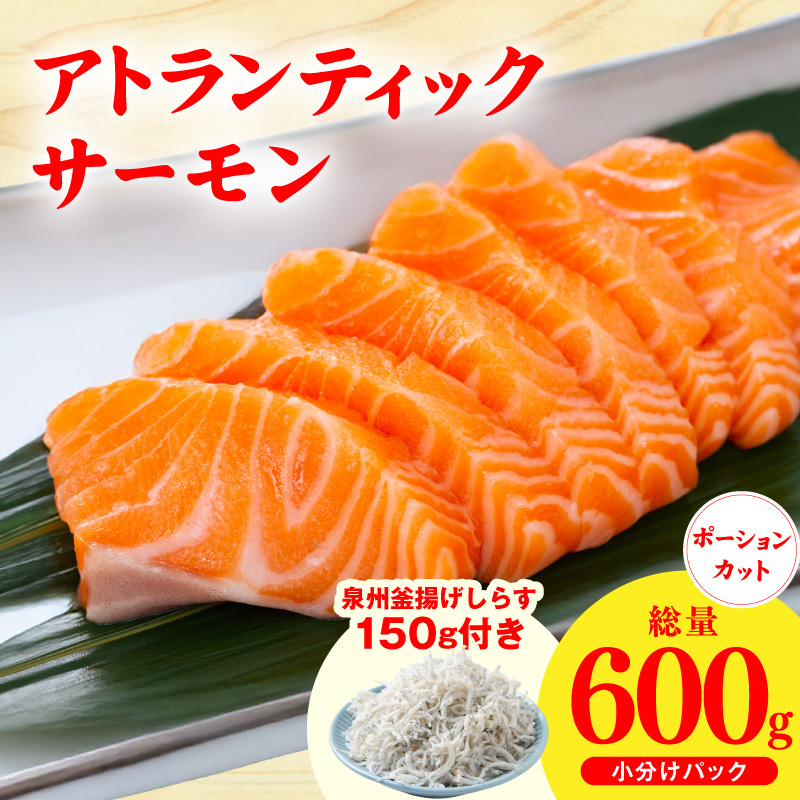 アトランティックサーモン 600g＆しらす150g【小分け ポーション 柵切 しらす シラス sirasu 刺身 魚介 海鮮 さーもん 生食 お試し】 G3805-1