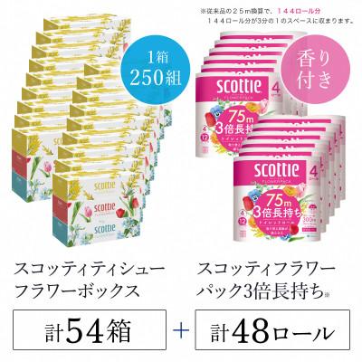 ふるさと納税 福知山市 ボックスティッシュ54箱+トイレットロール48ロール セット【複数個口で配送】
