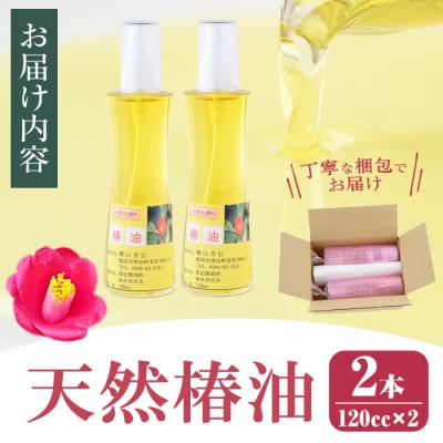 ふるさと納税 肝付町 鹿児島県肝付町産椿オイル(120cc×2本)【横山砕石】　A62002 |  | 03