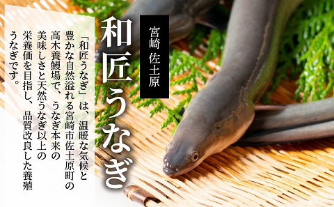 【宮崎市佐土原産】和匠うなぎの備長炭手焼き蒲焼3尾450ｇセット