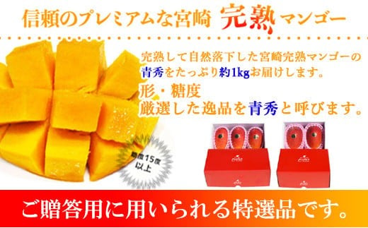宮崎県産完熟マンゴー[青秀] 合計約1kg（2～3玉）