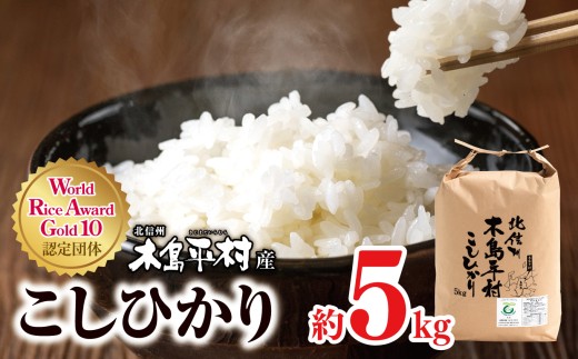 木島平産こしひかり 約5kg | 米 白米 精米 特別栽培米 コシヒカリ こしひかり お米 おこめ 減農薬 長野県 木島平村 信州