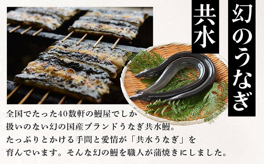 幻の国産ブランド鰻　共水うなぎのかば焼き　3串（約115g×3）タレ・山椒付き　極上の甘みとうまみ、ふっくらとした食感【鰻 魚介類 水産 食品 人気 おすすめ 送料無料】