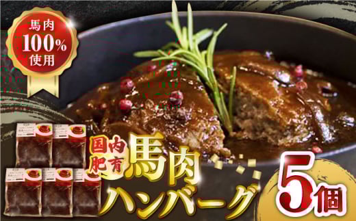 国内肥育 冷凍 馬肉ハンバーグ 計1kg ( 200g × 5個 ) デミグラスソース入り 小分け ハンバーグ 温めるだけ 個包装 惣菜 湯煎 熊本【有限会社 丸重ミート】[YAK012]