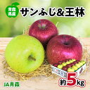 【ふるさと納税】JA青森　青森県産りんご「サンふじ&王林詰合せ」約5kg_ りんご リンゴ 林檎 サンふじ 王林 セット 詰合せ 青森県 産地直送 国産 送料無料 お取り寄せ 贈答 ギフト プレゼント 食べ比べ 5kg JA 常温 【配送不可地域：離島】【1127896】
