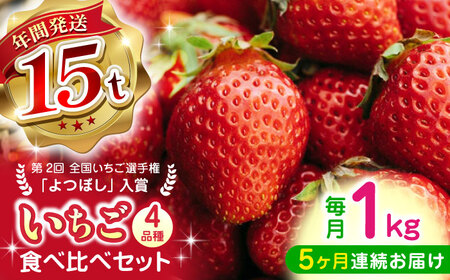 【先行予約】【2025年12月より順次発送】【全5回定期便】いちご 4品種 食べ比べ セット 250g×4P 【なかはた農園】[YBI061]