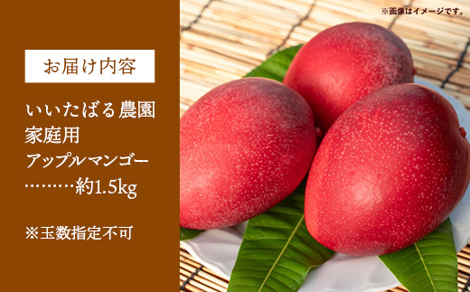 【先行受付】【2026年発送】いいたばる農園の家庭用アップルマンゴー約1.5kg - ご家庭用 先行予約 沖縄県産 産地直送 農薬不使用 除草剤不使用 南国フルーツ 旬の味覚 マンゴー オススメ 沖縄